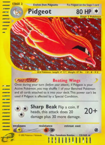 PSA 10 Pokémon Pidgeot #23 — Expedition (2002)