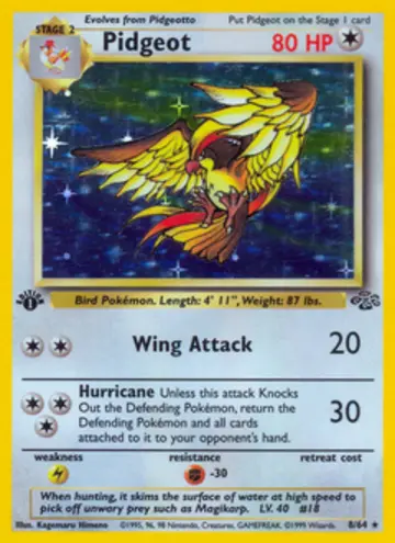 PSA 10 Pokémon Pidgeot #8 — Jungle 1st Edition (1999)